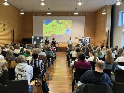 Gipfeltreffen